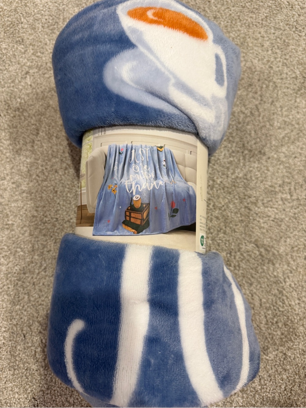 Cozy Blue and White Striped Plush Throw Blanket